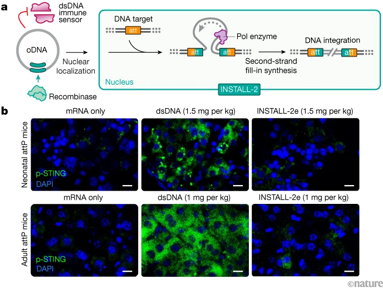 Waggoner Lab tweet media