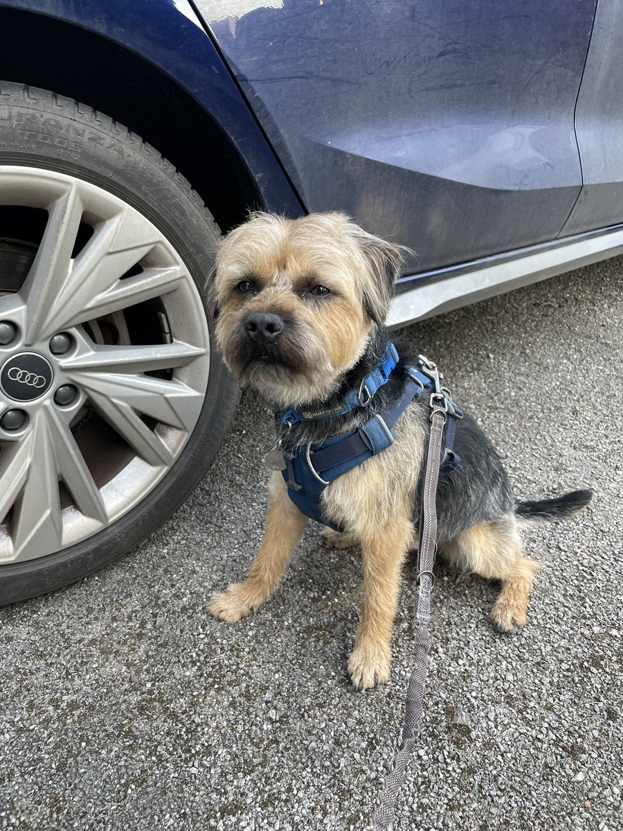 Christine Hill (& Benedict #BTPosse) tweet media