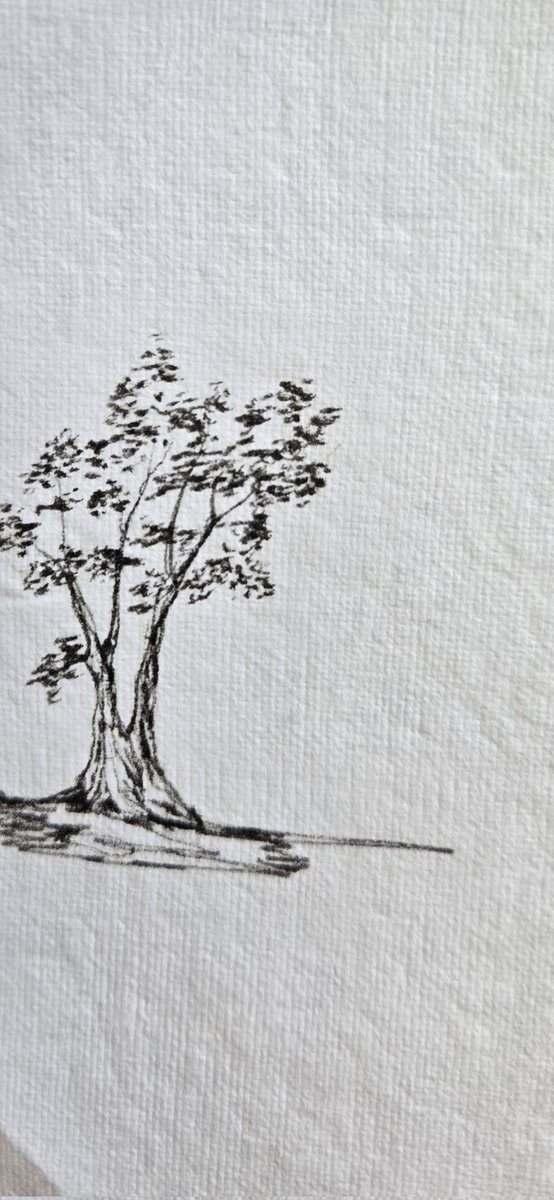 Corbin by the Coast 🇨🇦 tweet media