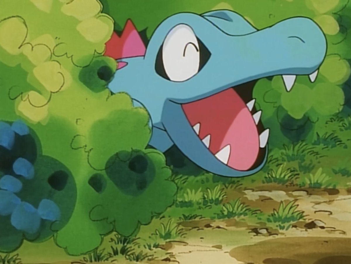 Totodile Propaganda tweet media