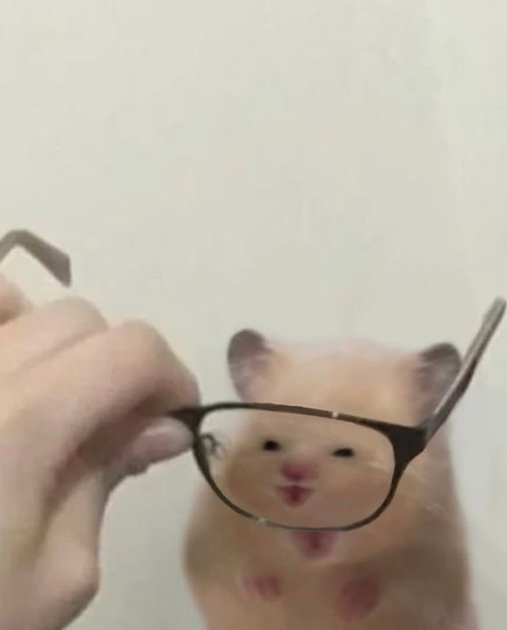 Nana 🌙💜 asmrtist & vtuber 🐰🪽 tweet media