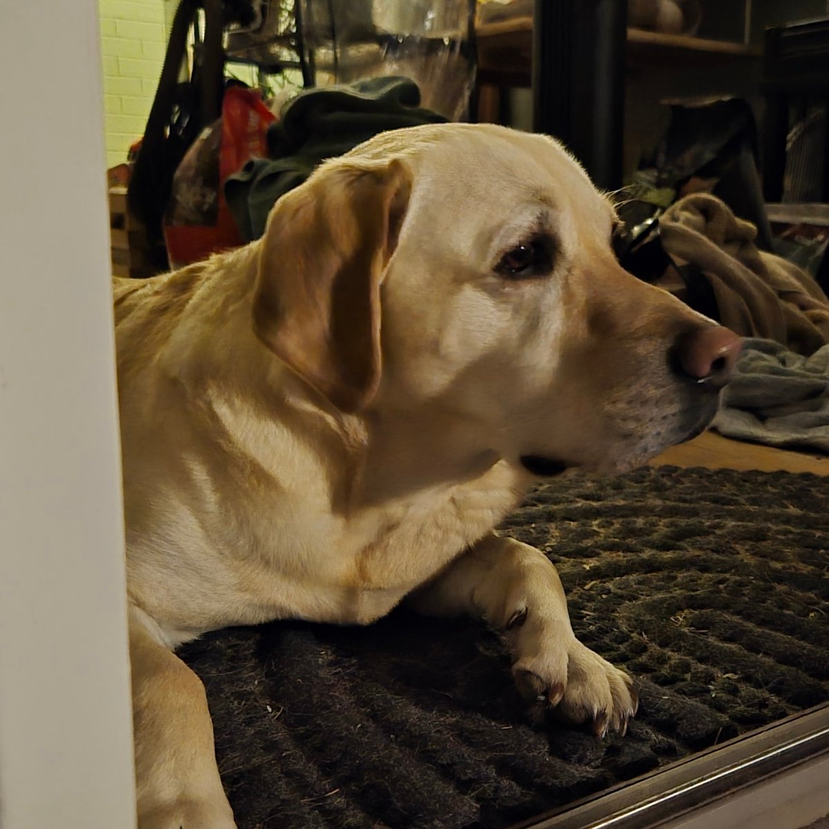 Tomi | VTuber | tweet media