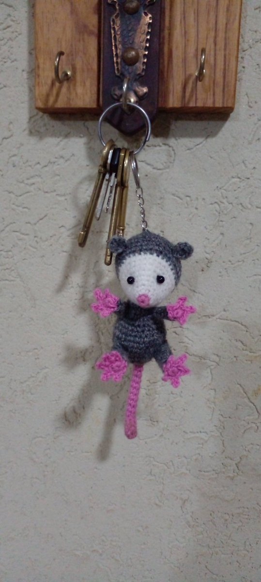 Alma Corazon y voz animal tweet media