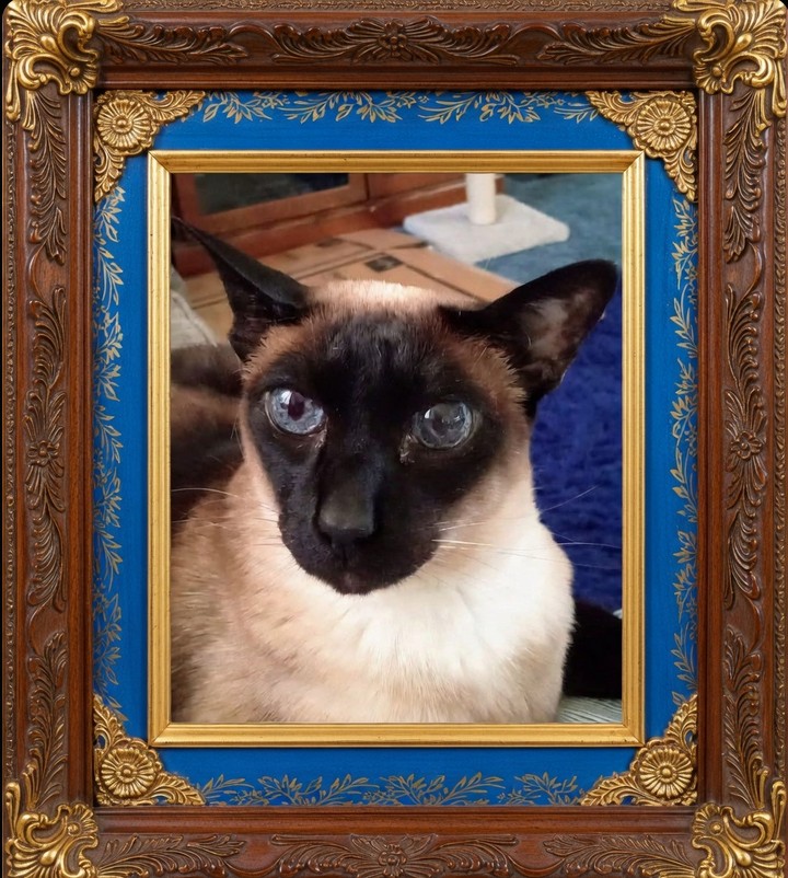 AlphaCentauri (Ed) tweet media