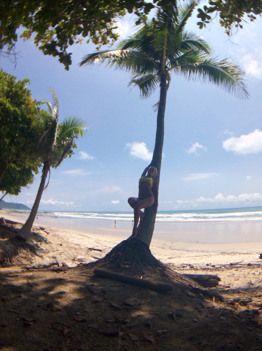 Theresa Longo tweet media