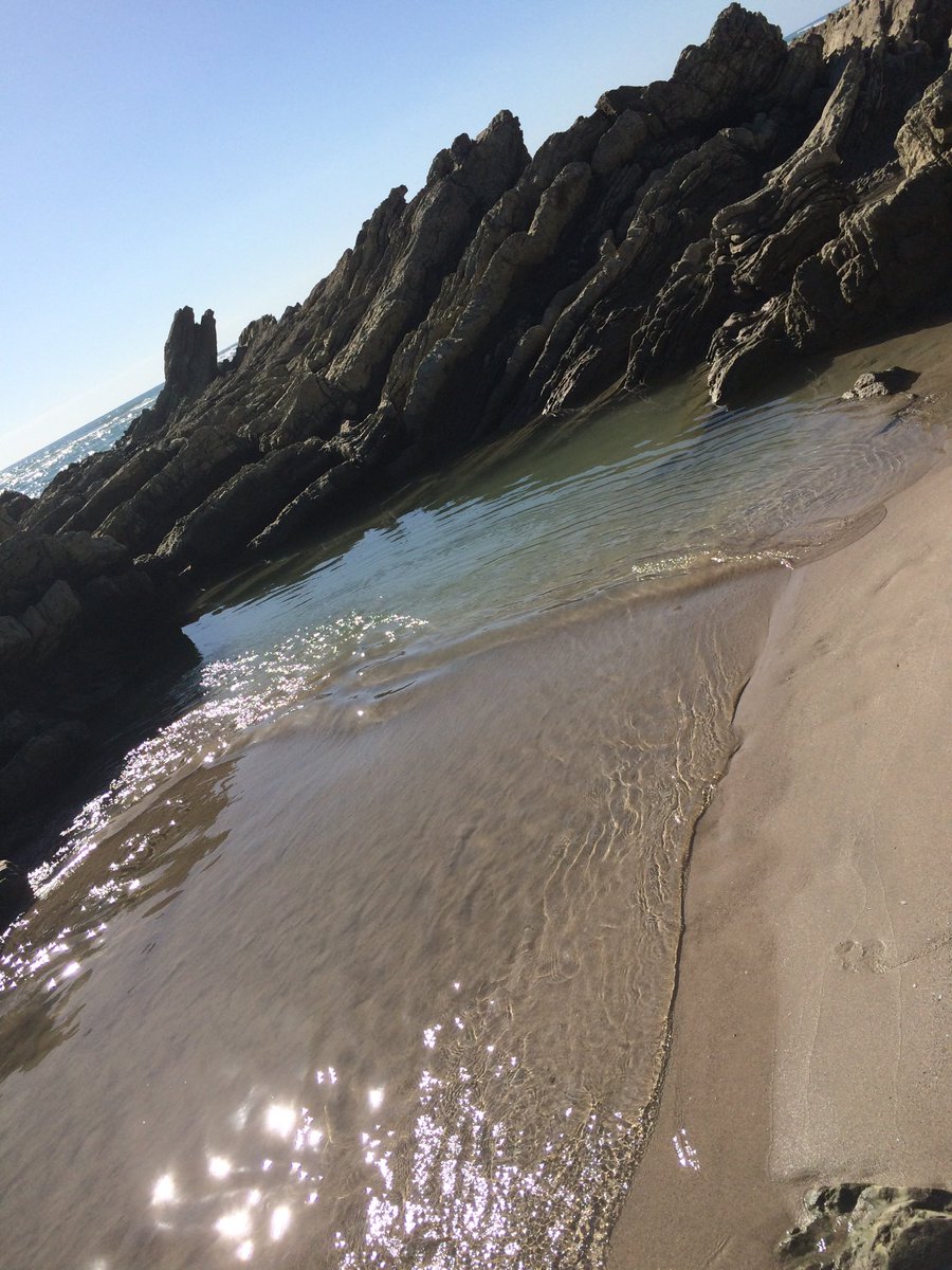 Theresa Longo tweet media