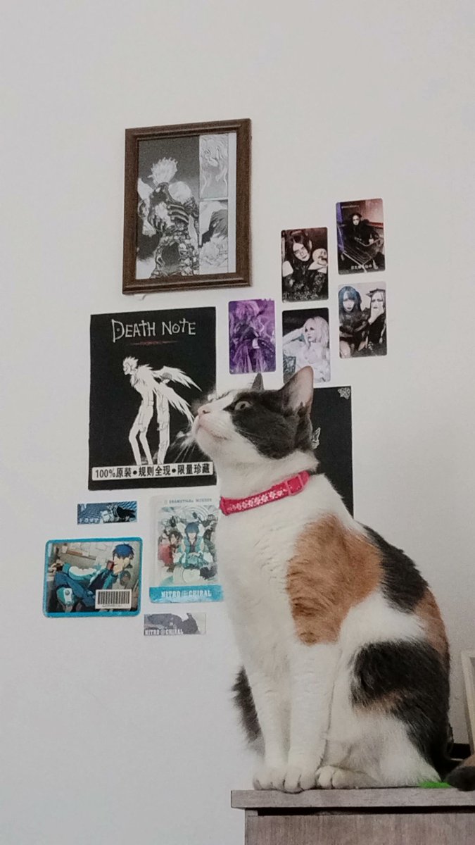 𝖘𝖔𝖒𝖎 🕸🐼🦇 tweet media