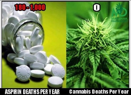 John Doe tweet media