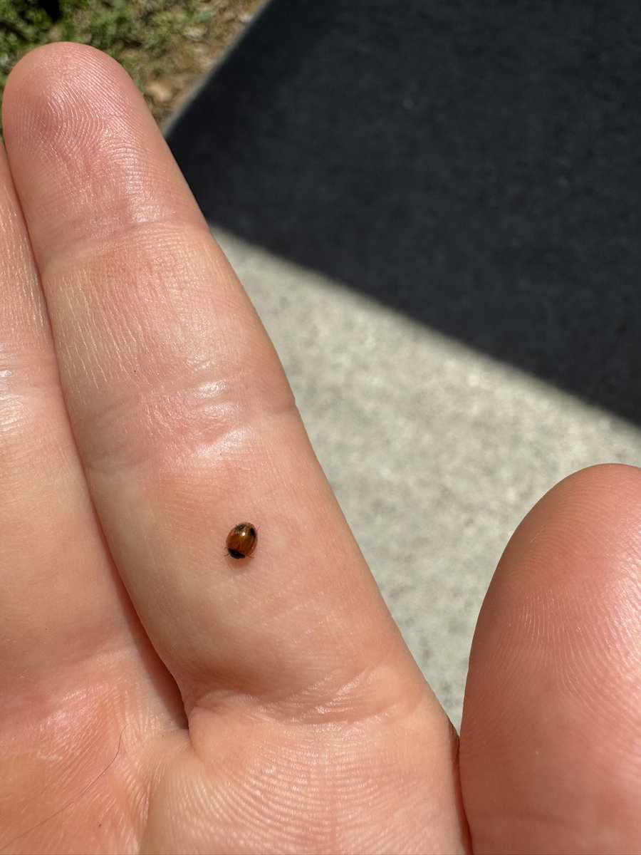 Daemon VA | Your Anime Boyfriend 😈😇 tweet media