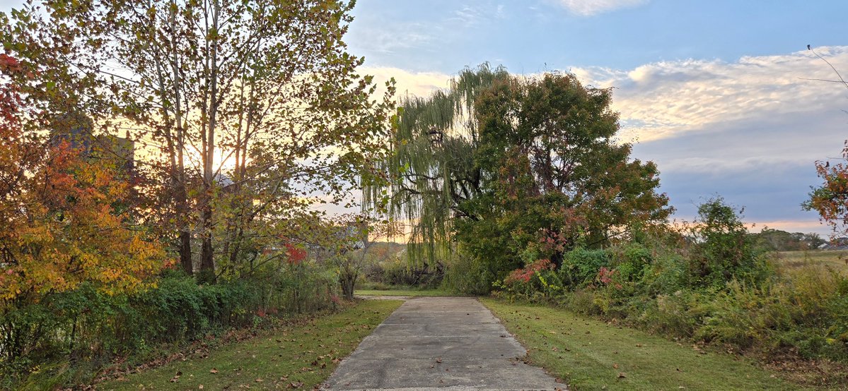 Cosmic Horror tweet media