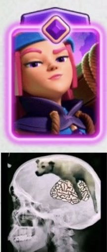 TRB Hamid tweet media