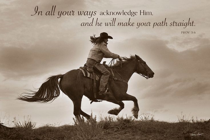 Michael Doyle tweet media