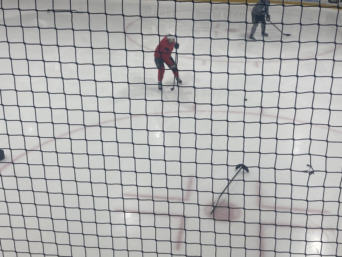 Jesse Cohen🌴All The Kings Men tweet media