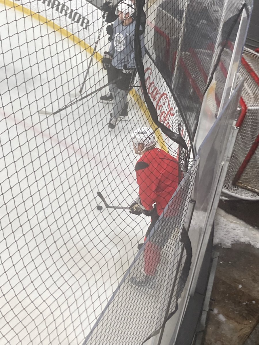 Jesse Cohen🌴All The Kings Men tweet media