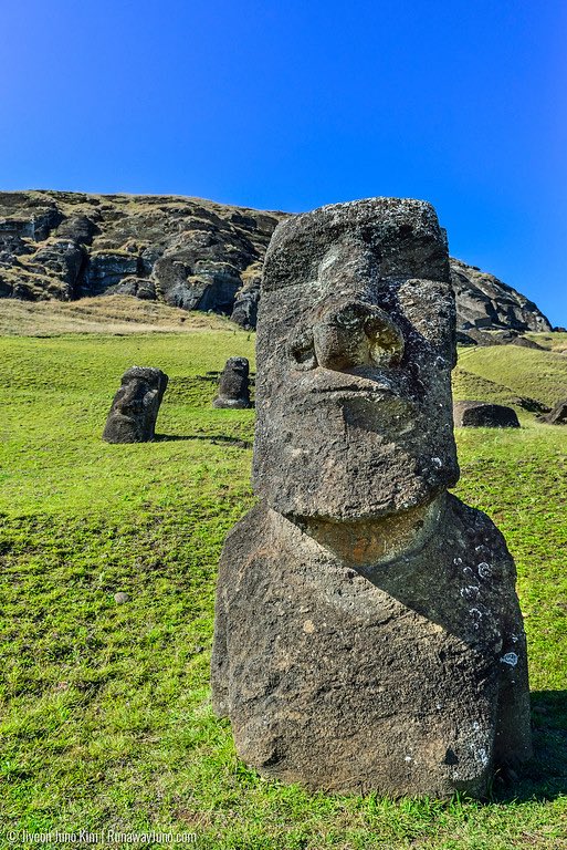 HellfishOx tweet media