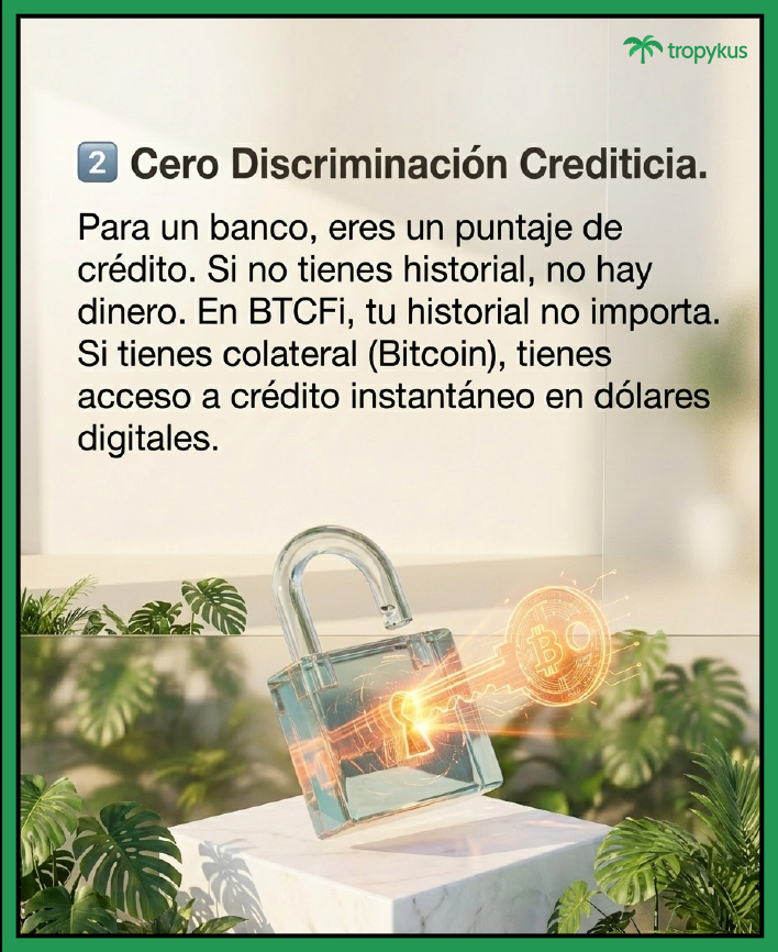 Tropykus 🌴🍹 tweet media