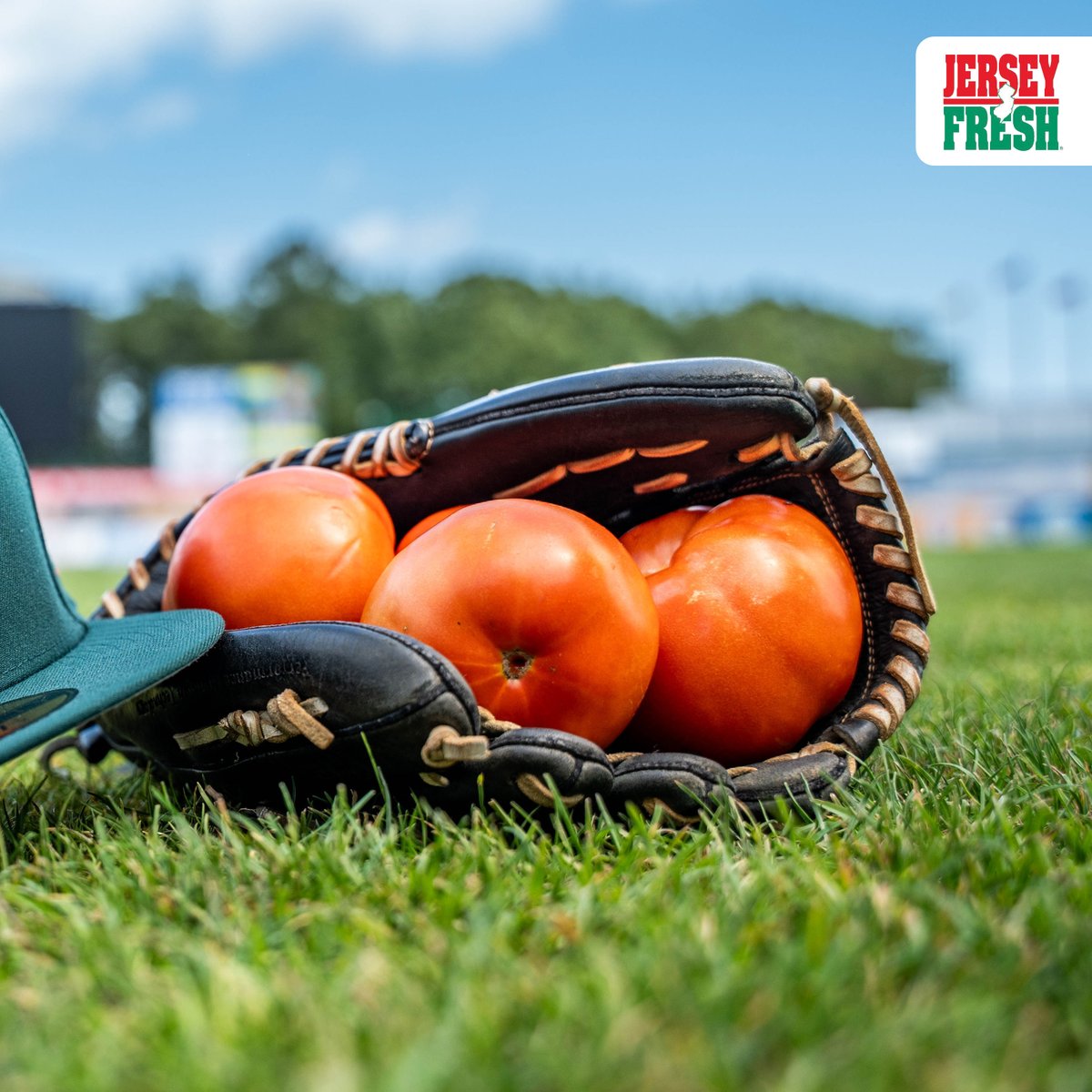 Jersey Shore BlueClaws tweet media