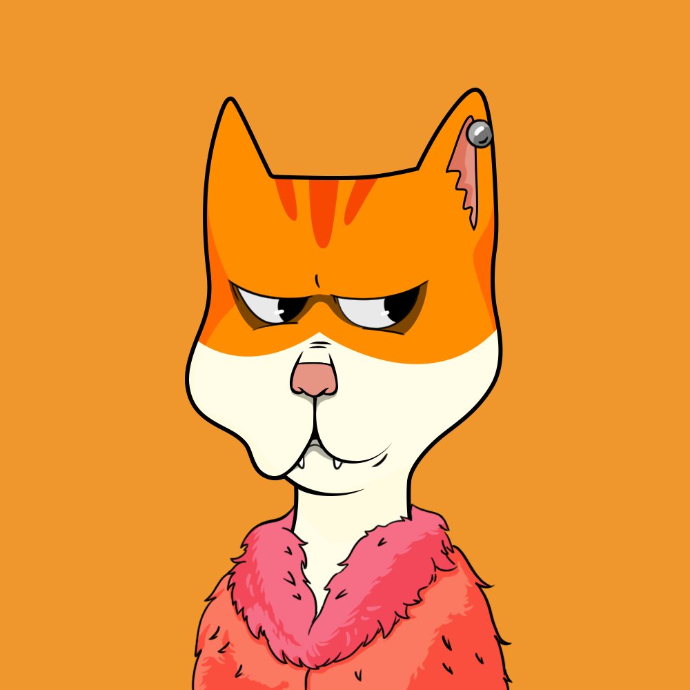 Boss Cat Rocket Club Sales tweet media