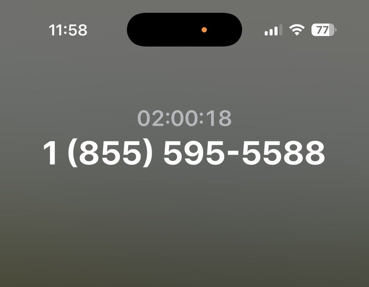 Michelle Hoogveld tweet media