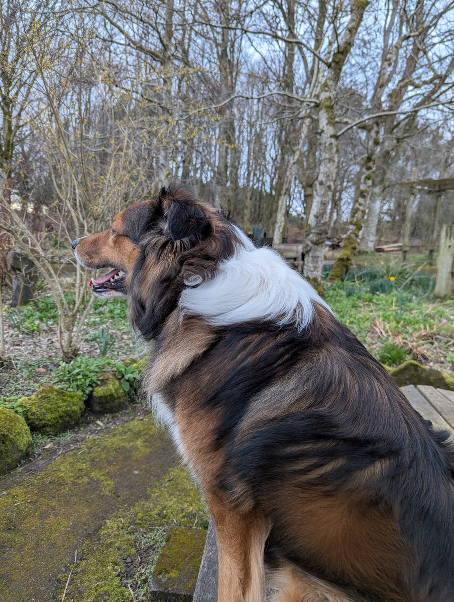 drew wingate tweet media