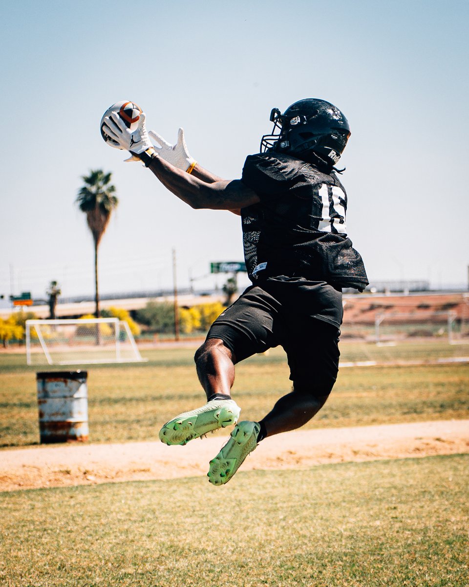 Arizona Rattlers tweet media