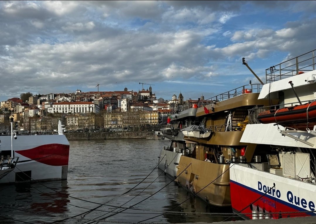 Rosenlippenmädchen tweet media