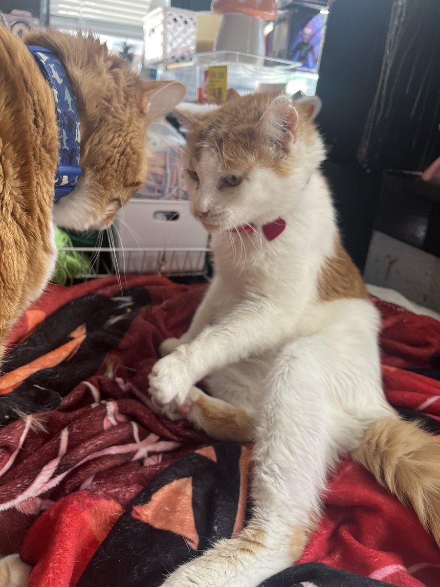 catrick swayze & donnie tweet media