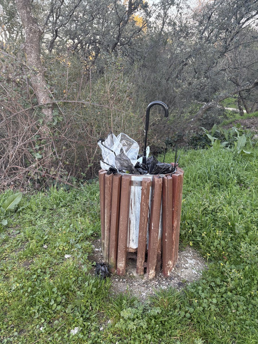 Javier Caldroux tweet media