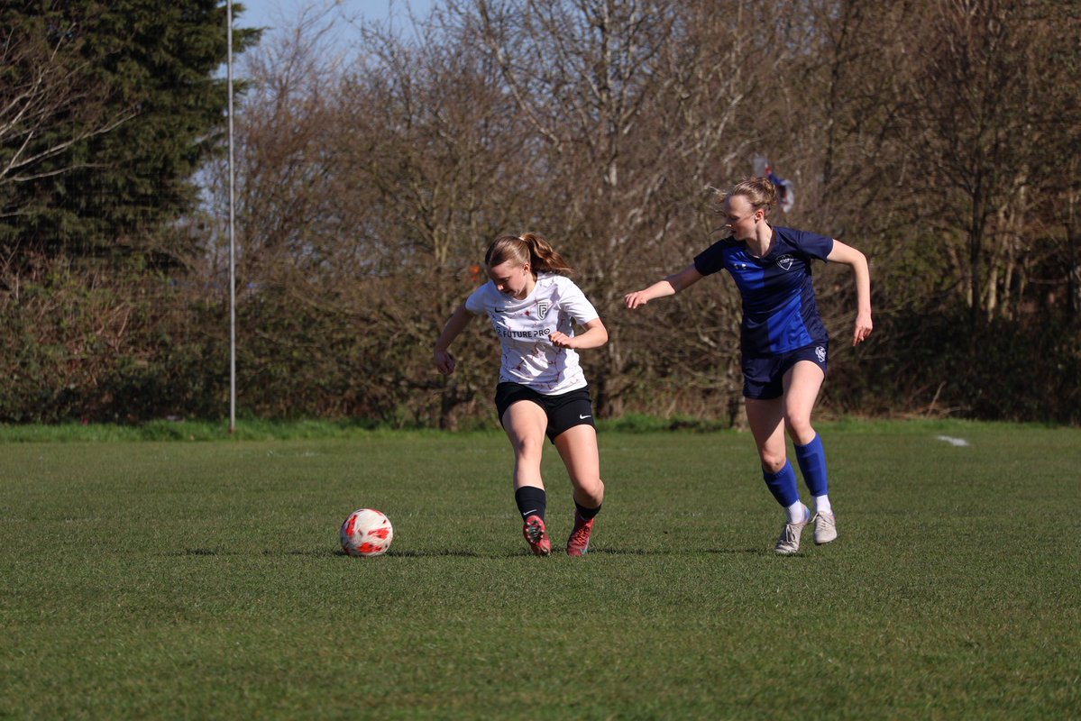 Future Pro tweet media