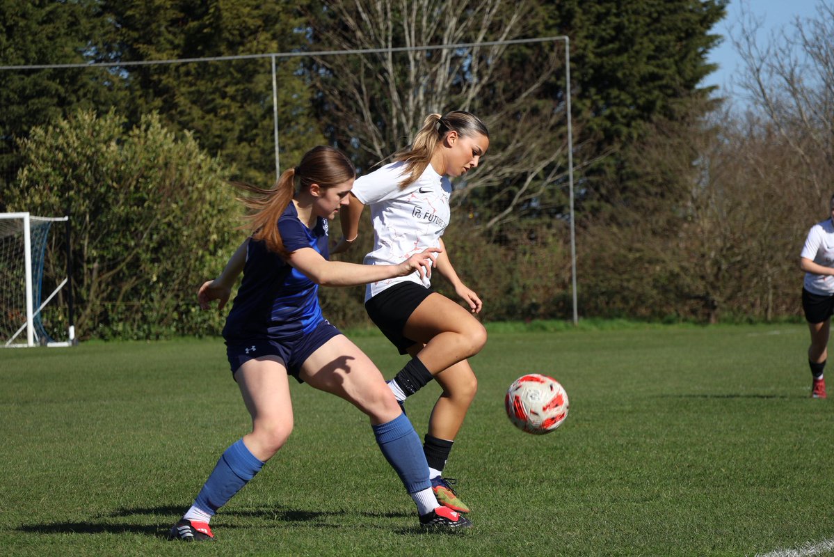 Future Pro tweet media