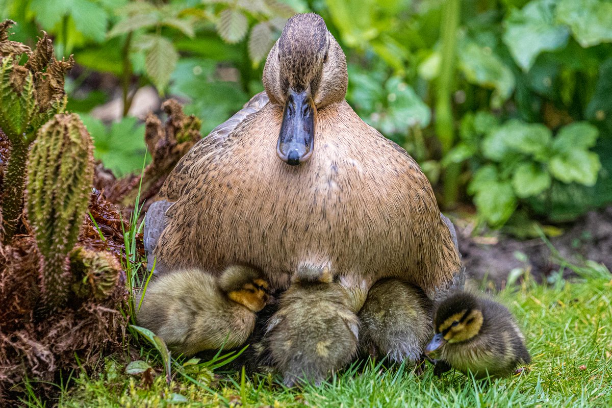 Andrew Locking tweet media