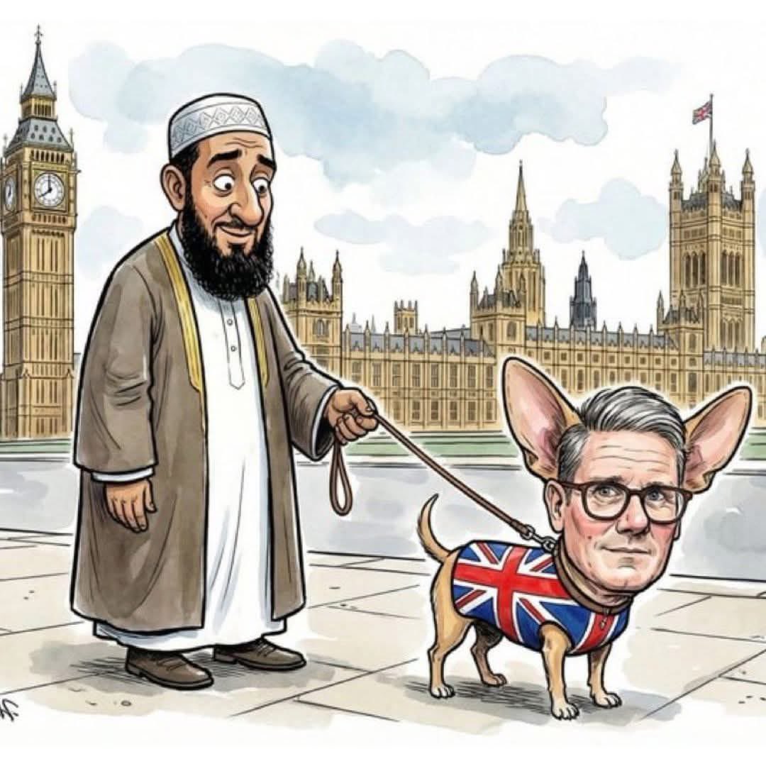 Harvey Black tweet media