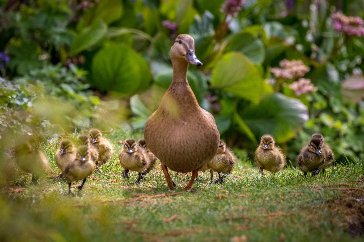 Andrew Locking tweet media