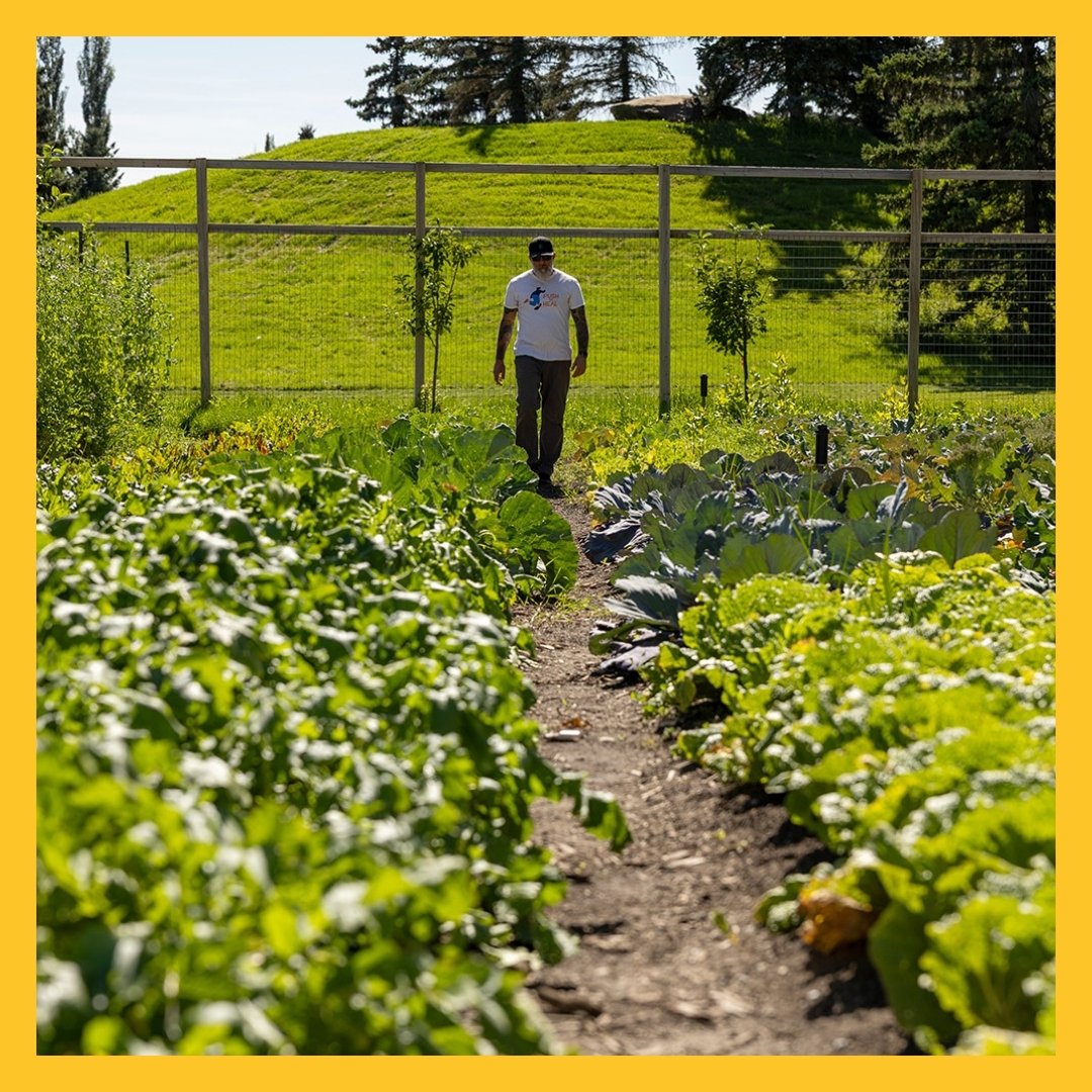 Perkins&Will tweet media