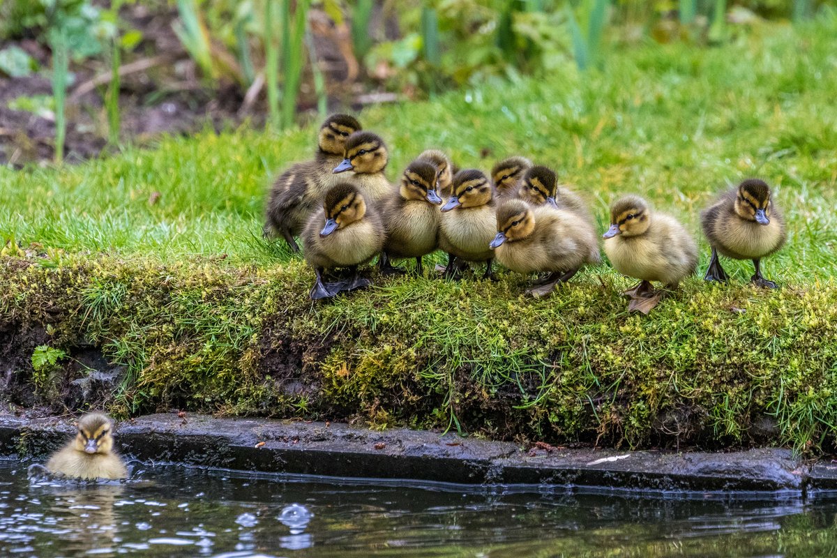 Andrew Locking tweet media