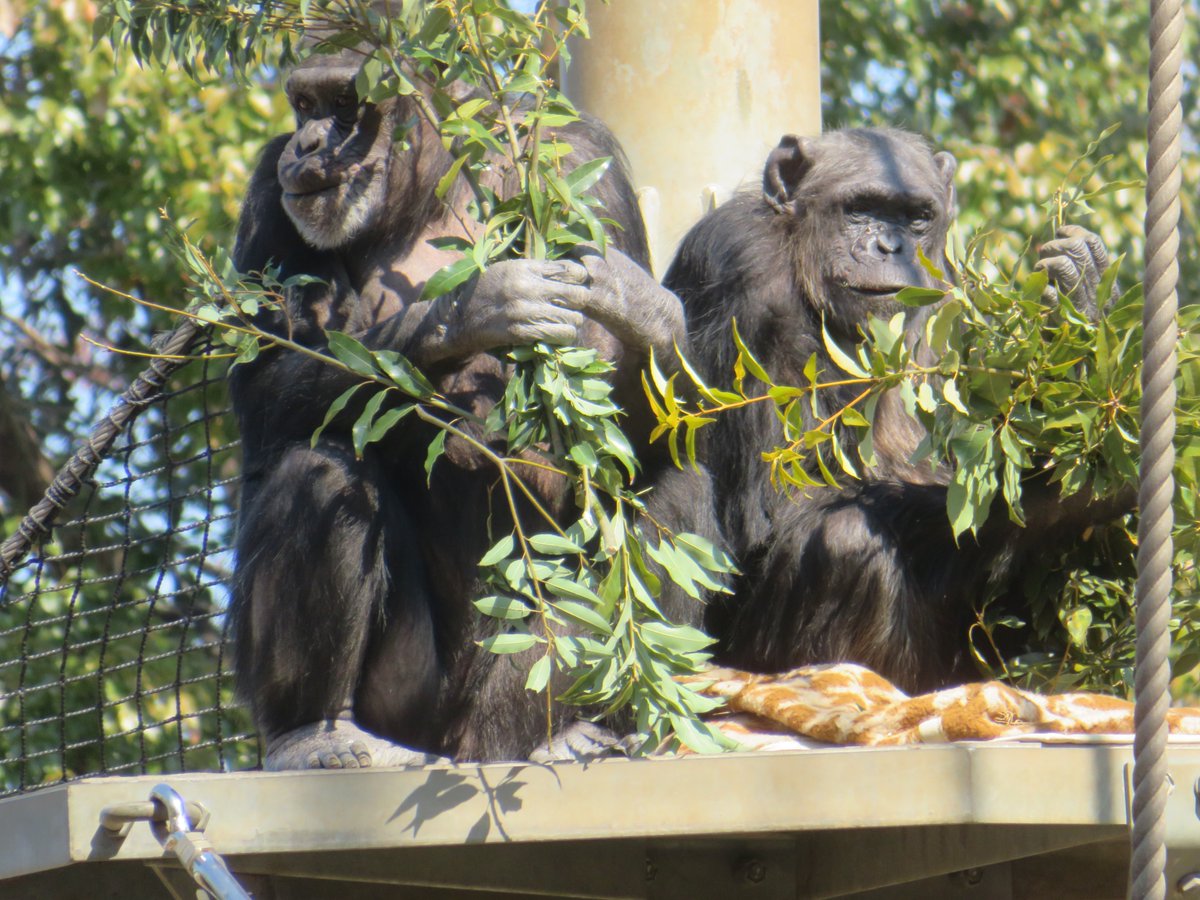 溝上万里央 tweet media