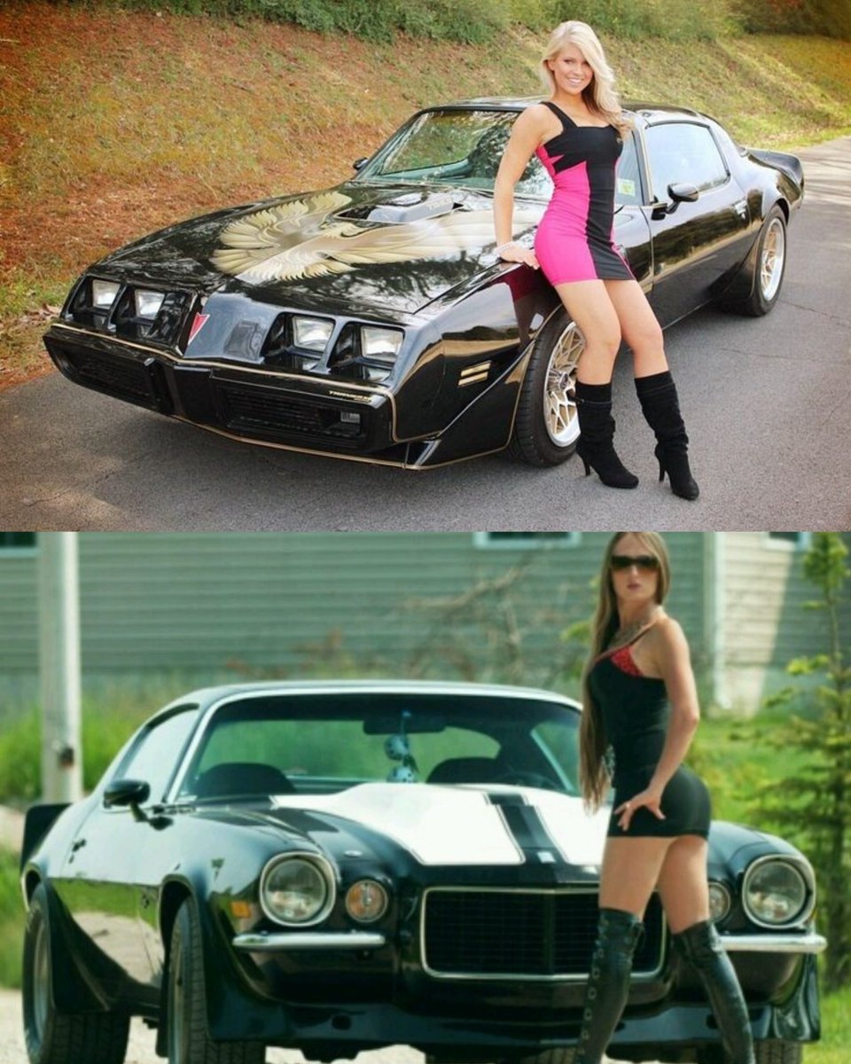 Vintage Cars Collection tweet media