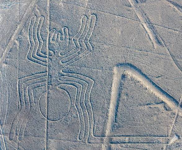 Cristian 🍁🍂 tweet media