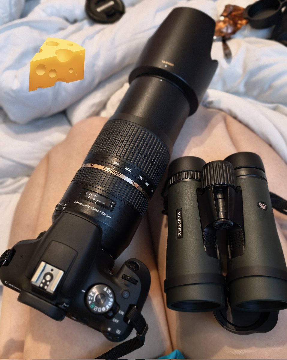 Riri Pipsqueak 🐀 tweet media