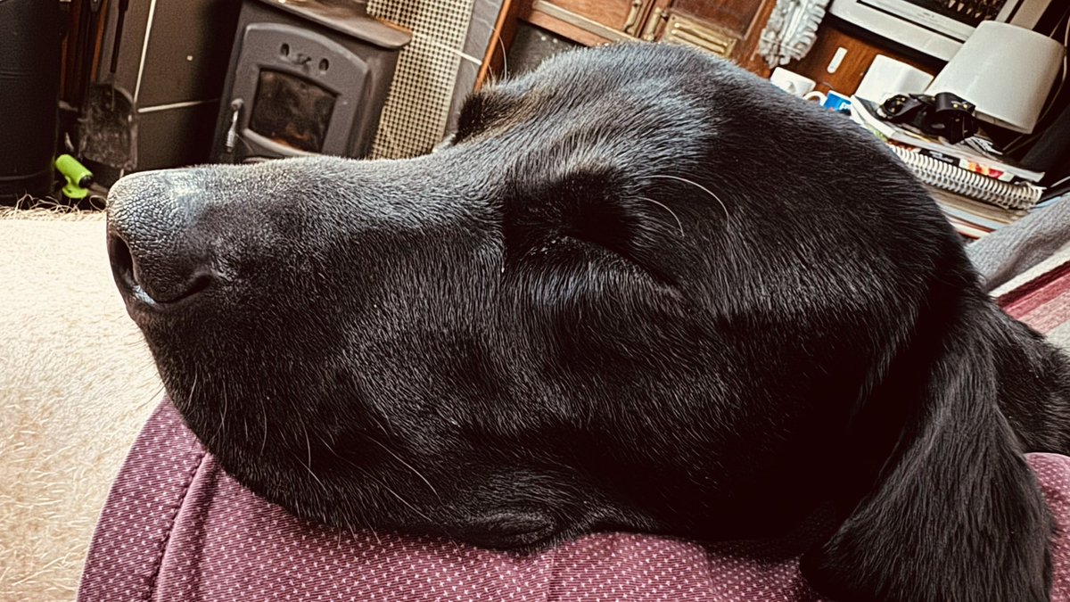 Tony Bowers NB Denry tweet media