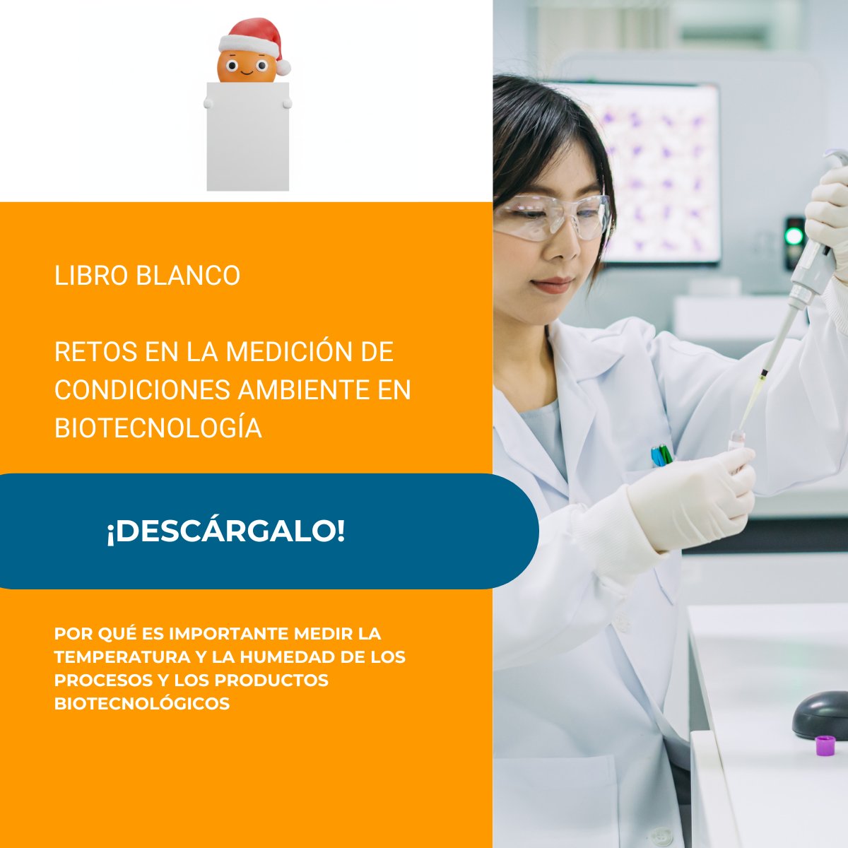 Testo España tweet media