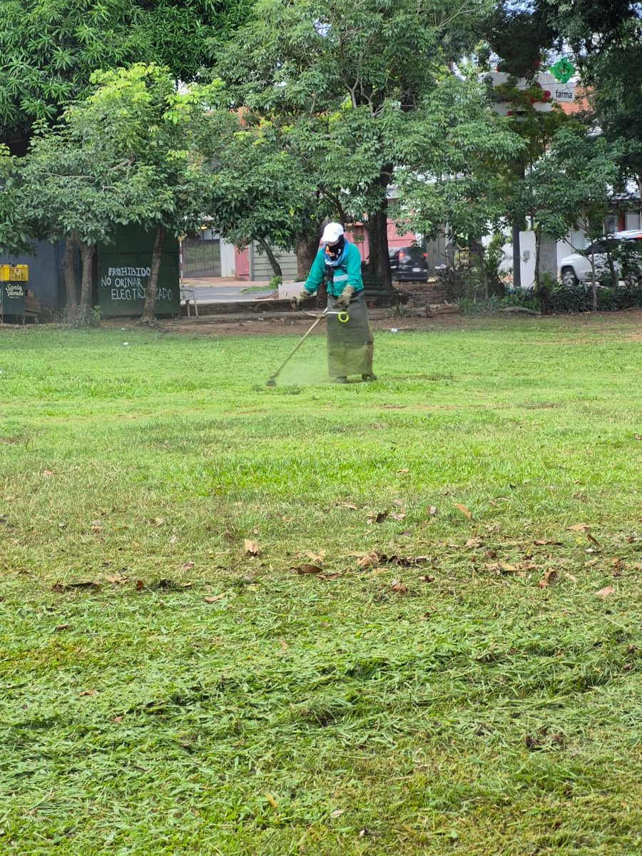 Municipalidad de Asunción tweet media
