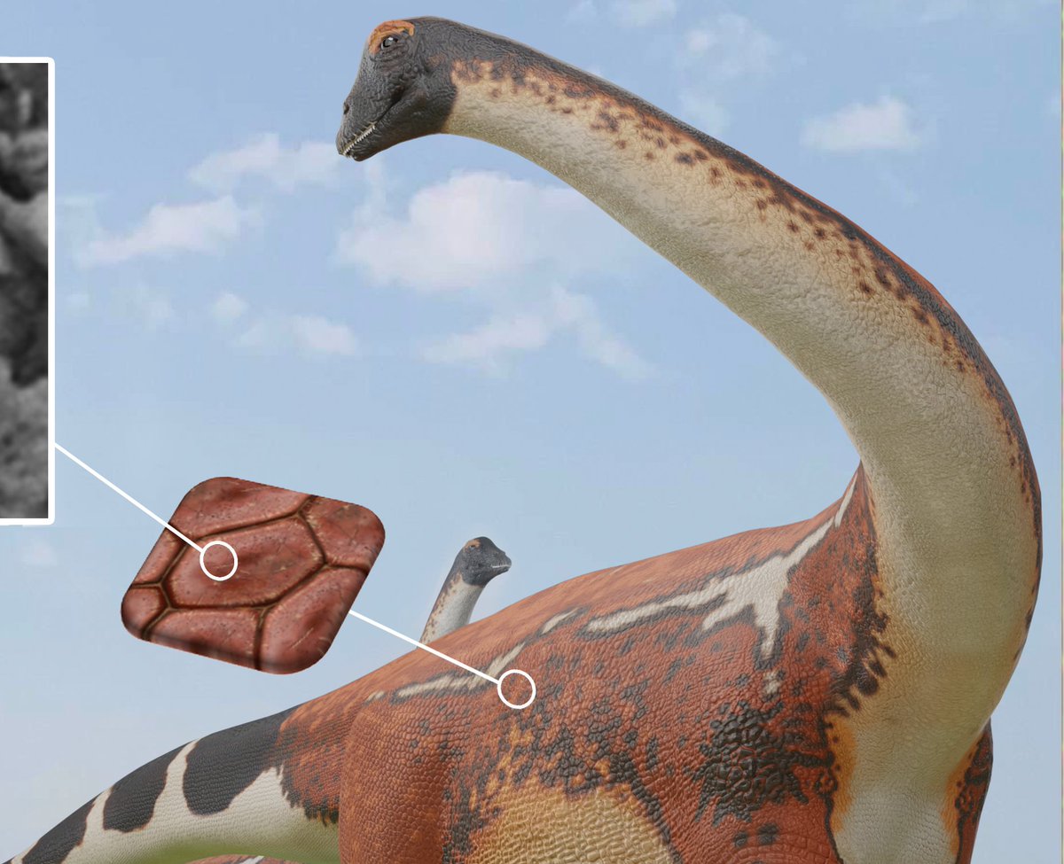 Tess Gallagher🦕(@tessasaurus.bsky.social) tweet media