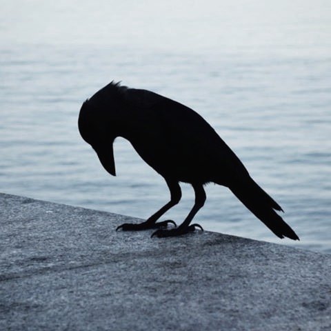 𝐬𝐞𝐫𝐠𝐞𝐲 𝐫𝐚𝐳𝐮𝐦𝐨𝐯𝐬𝐤𝐲 tweet media