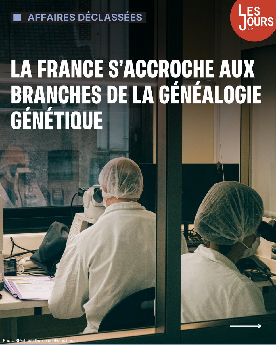 Les Jours tweet media