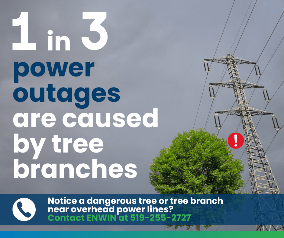 ENWIN Utilities Ltd. tweet media