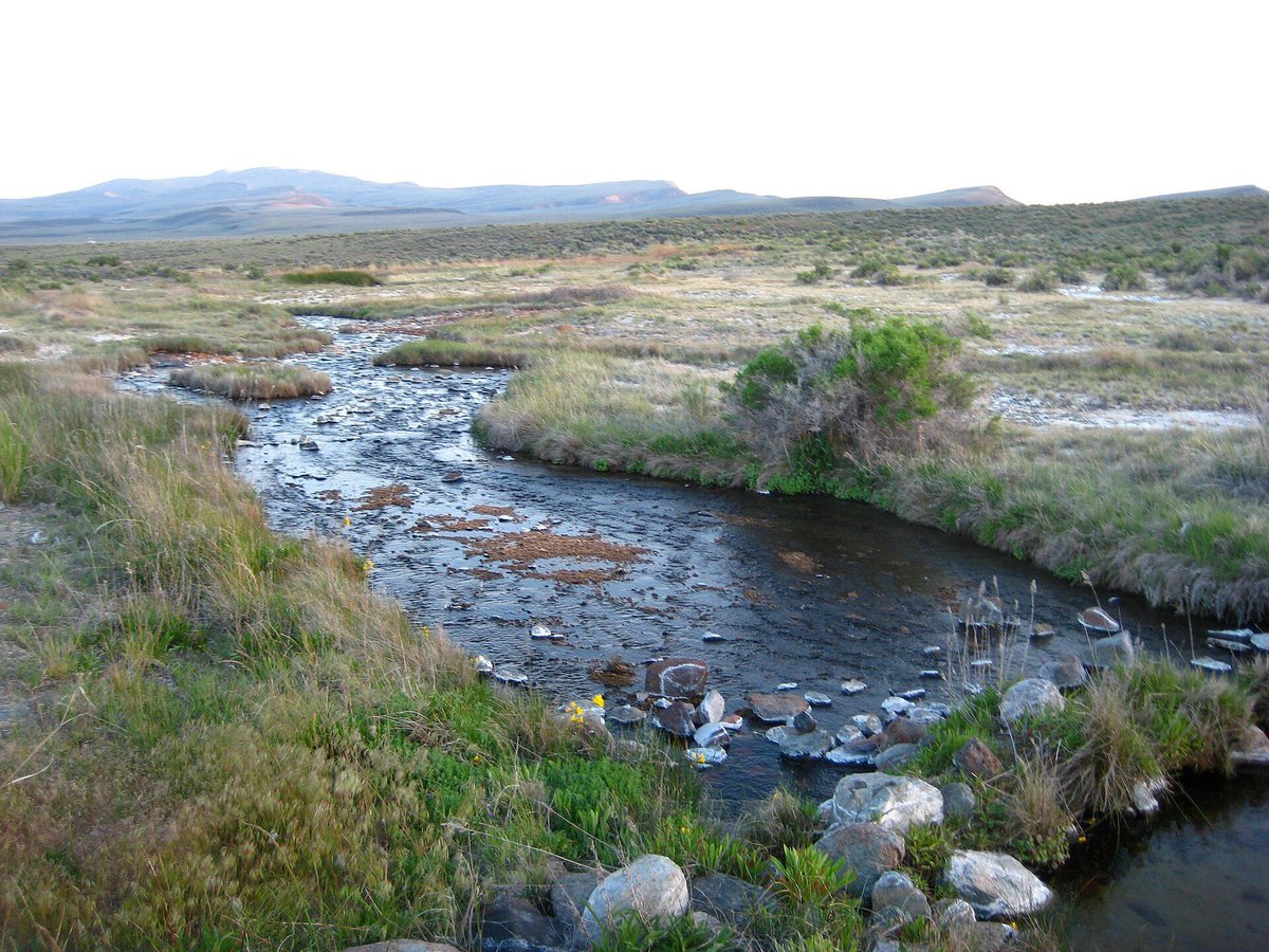 TheWatrReportUS's tweet photo. Nevada has released a new online tool that calculates the water needs of fragile Groundwater-Dependent Ecosystems (GDEs).

This enables water managers to model impacts and protect freshwater sources before ecological damage occurs.

📘Learn more 👇
https://t.co/bPYIOPphYI https://t.co/sT09lFRjmu