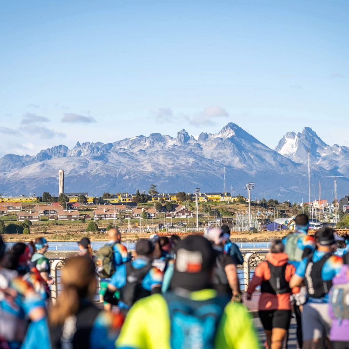 Willy Querciali tweet media