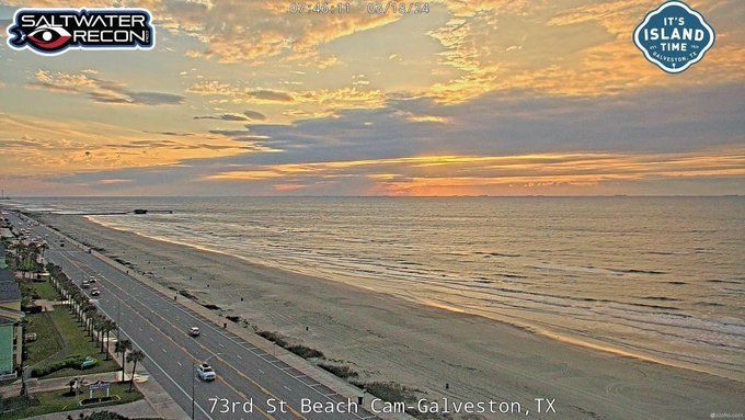 The Salty Dog Galveston tweet media