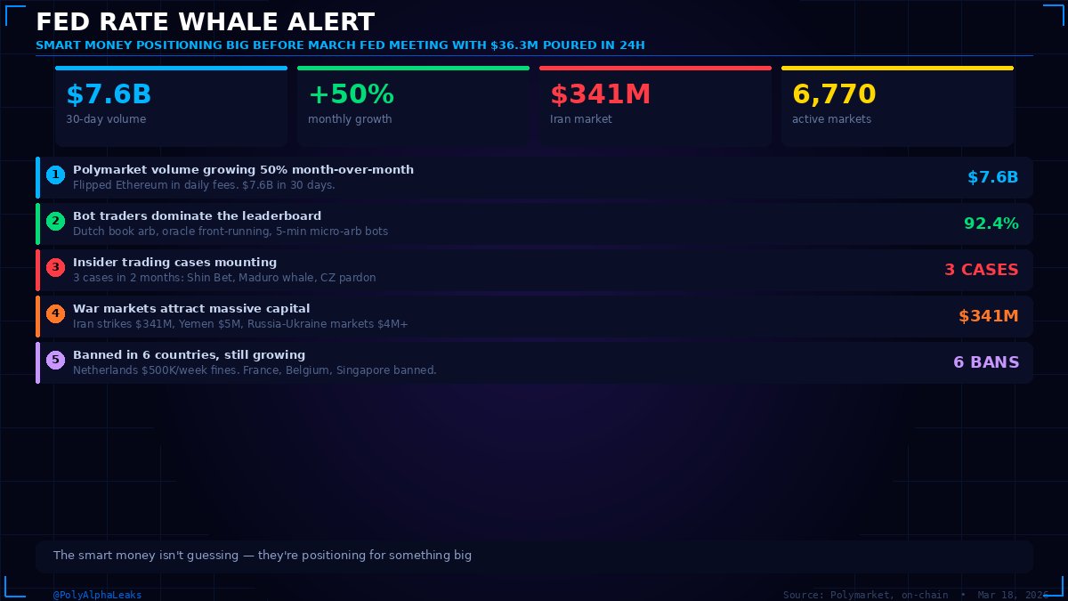 Polymarket Alpha Leaks tweet media